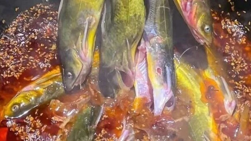 管家婆三期内必开一期图片,曝王玉雯杨玏已分手,最佳精选解释落实_测试版V8.47