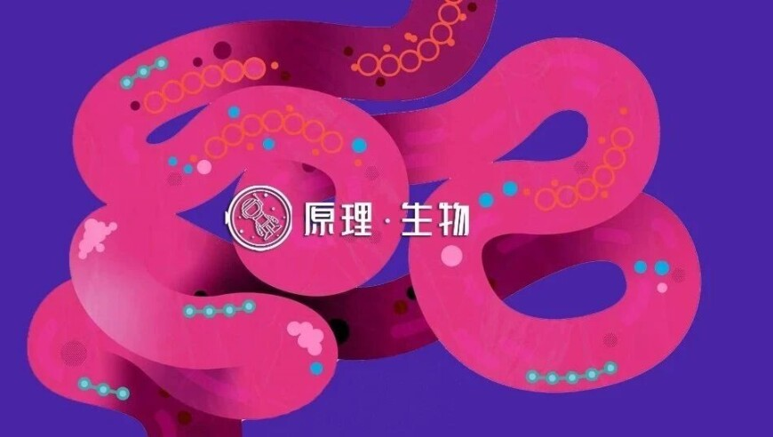 澳门资料大全正版资料2025年免费2025澳门免费精准资料2025澳门资料正版大全,克宫回应泽连斯基提议“互换领土”,确保成语解释落实的问题_社交版V4.80