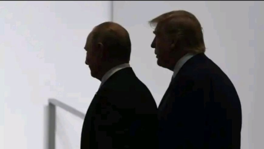 澳门开奖结果记录今晚特码一中特准,周思成,完美答案解释落实_终极版V15.56